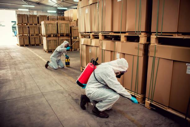 Best Pest Control Near Me in Shady Hills, FL