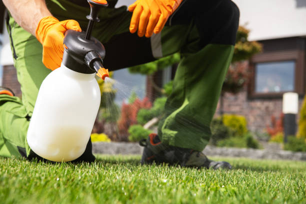 Pest Control Cost in Shady Hills, FL