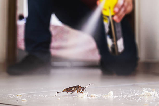 Best Pest Control Near Me in Shady Hills, FL