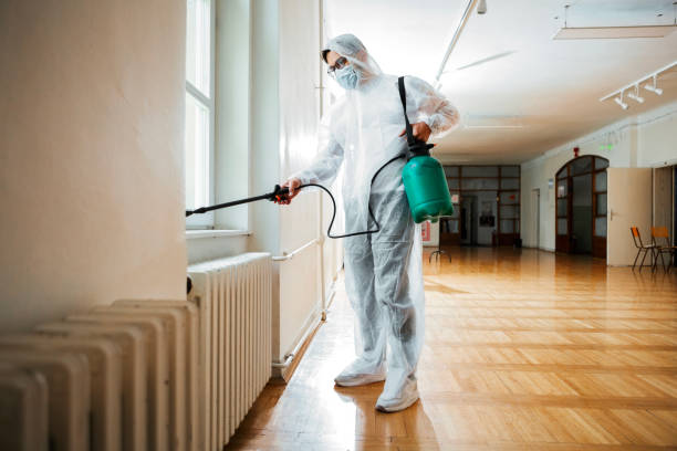 Best Flea Control Services  in Shady Hills, FL